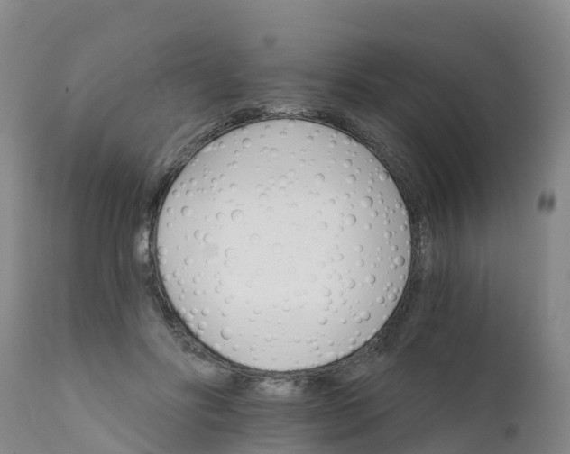 X0000111800502200908131439