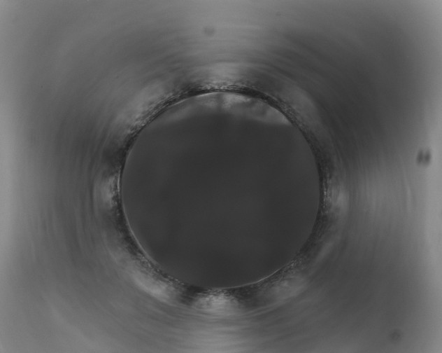 X0000111800503200908131439