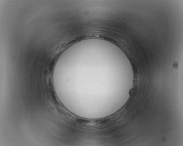 X0000111800504200908131439