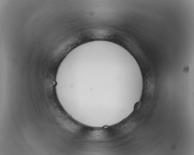 X0000111800505200908131439