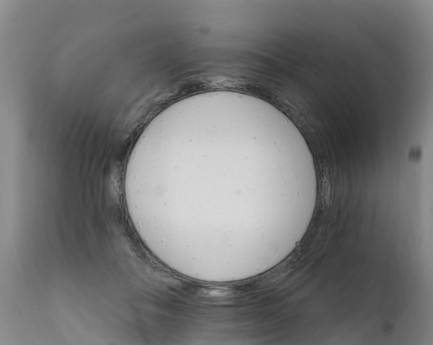 X0000111800506200908131439