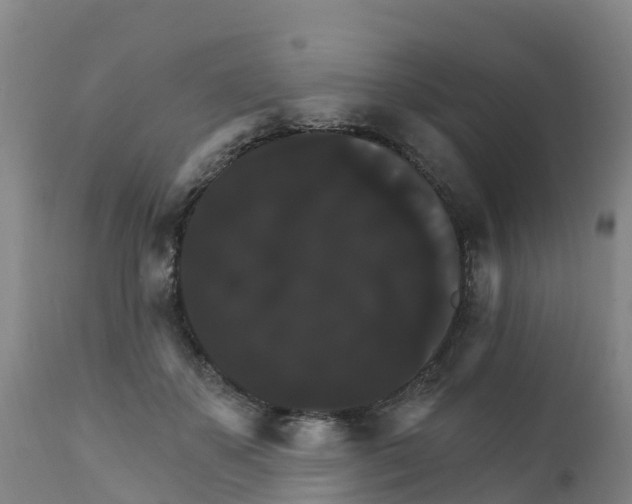 X0000111800507200908131439