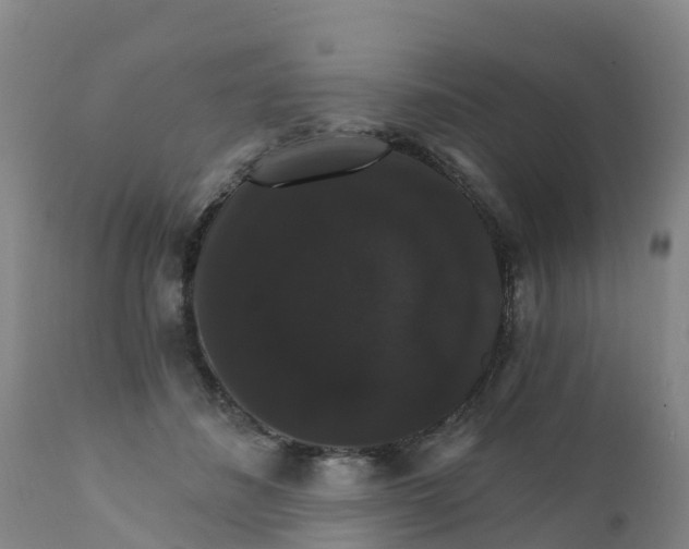 X0000111800508200908131439