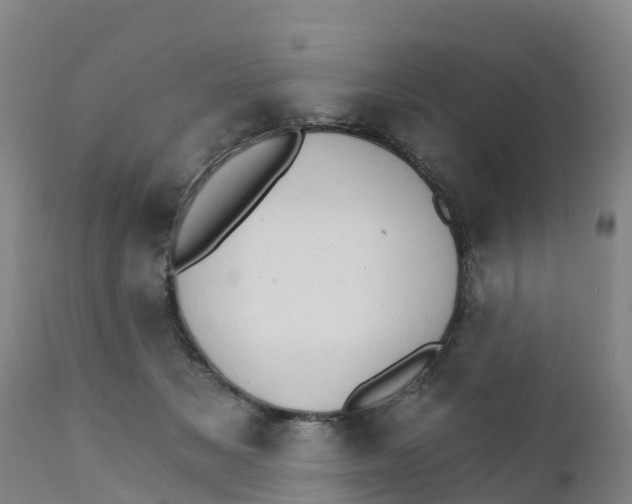 X0000111800509200908131439