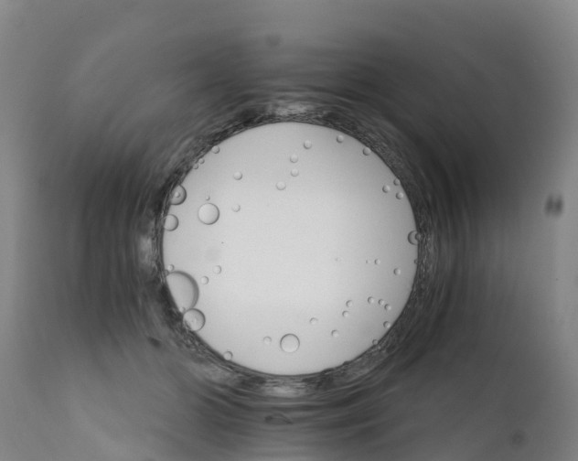 X0000111800510200908131439