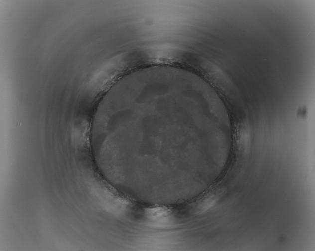 X0000111800511200908131439