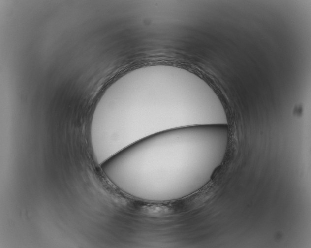 X0000111800512200908131439