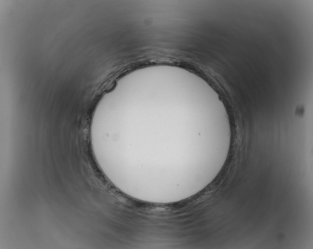 X0000111800513200908131439