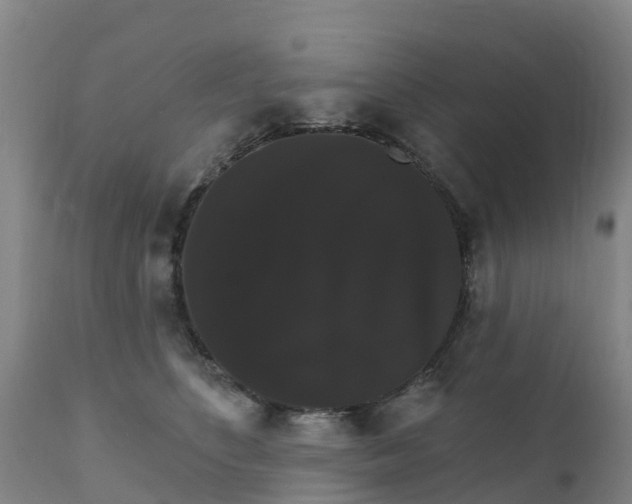 X0000111800516200908131439