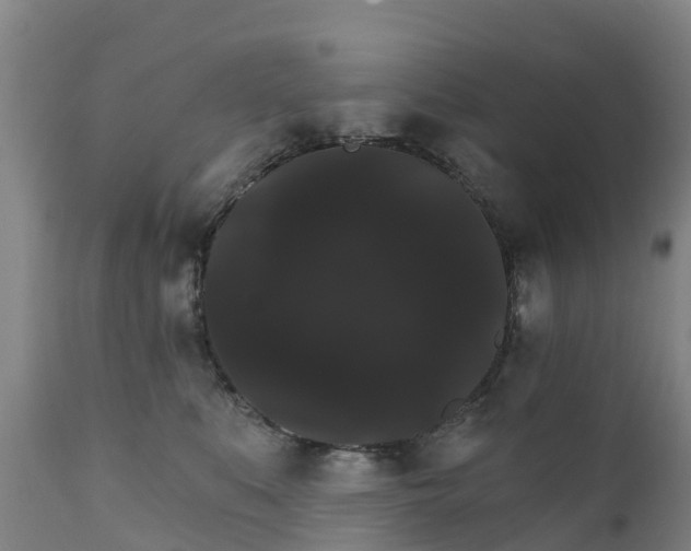 X0000111800519200908131439
