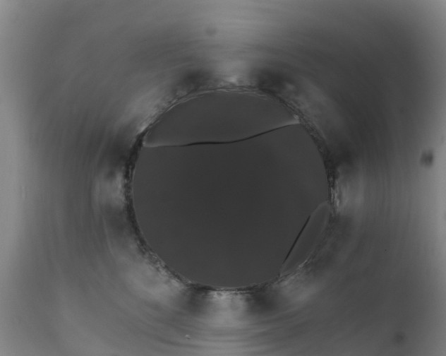 X0000111800520200908131439