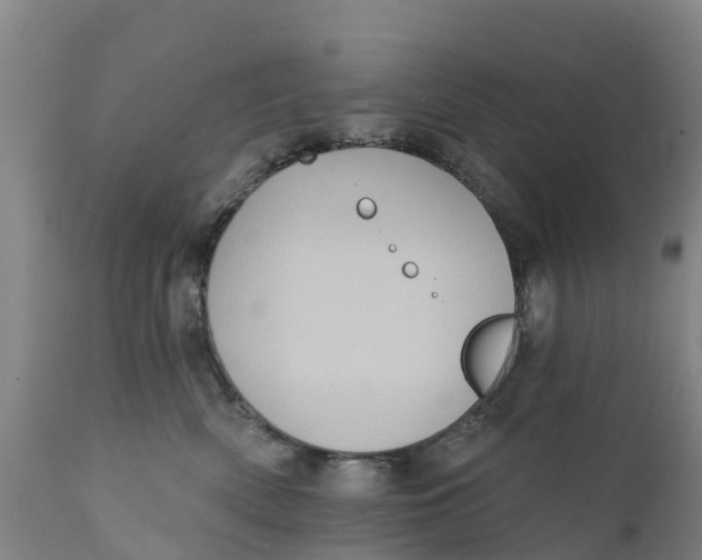 X0000111800522200908131439