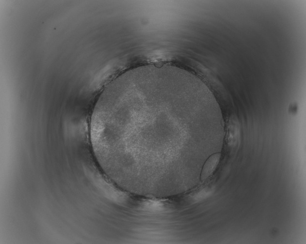 X0000111800523200908131439