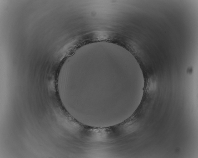 X0000111800524200908131439