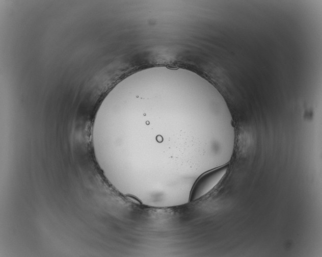 X0000111800525200908131439