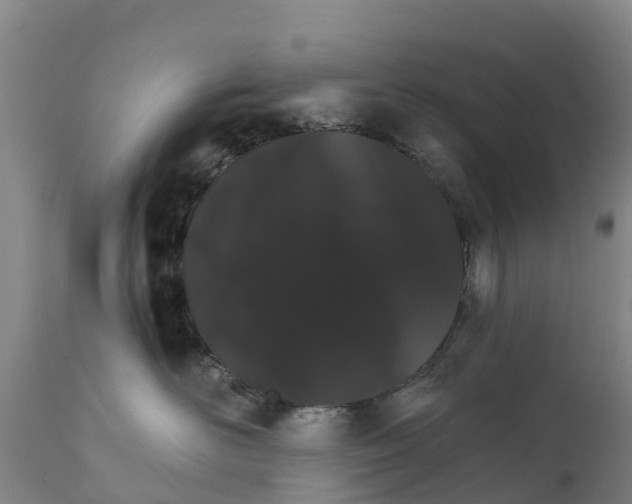X0000111800526200908131439
