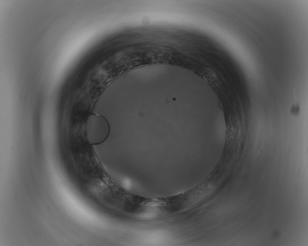 X0000111800527200908131439