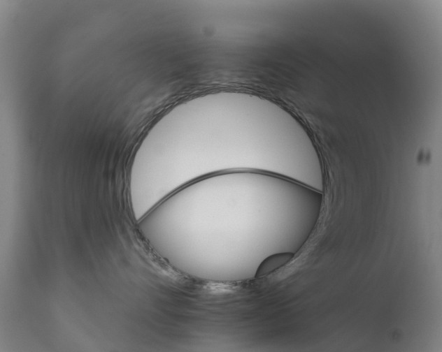 X0000111800528200908131439