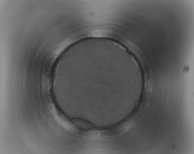 X0000111800530200908131438