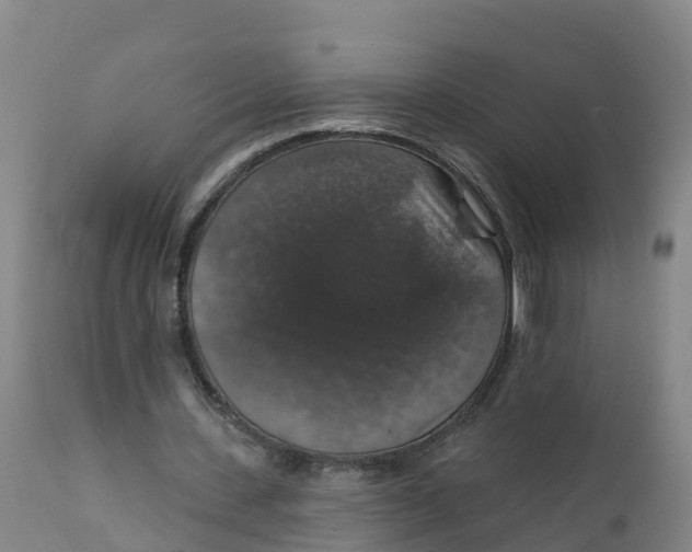 X0000111800531200908131438