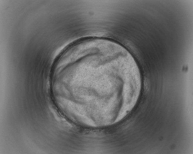 X0000111800532200908131438