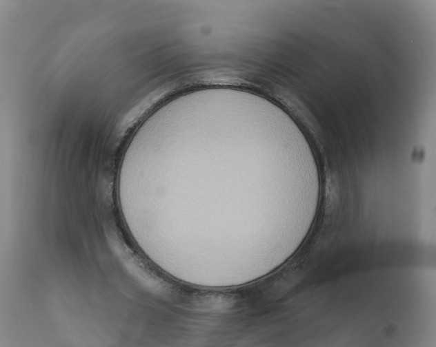 X0000111800533200908131438