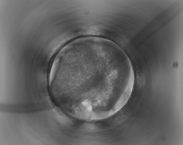 X0000111800534200908131438