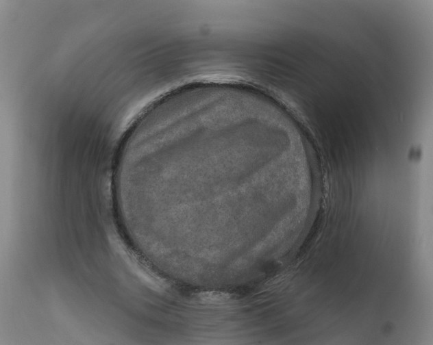 X0000111800535200908131438