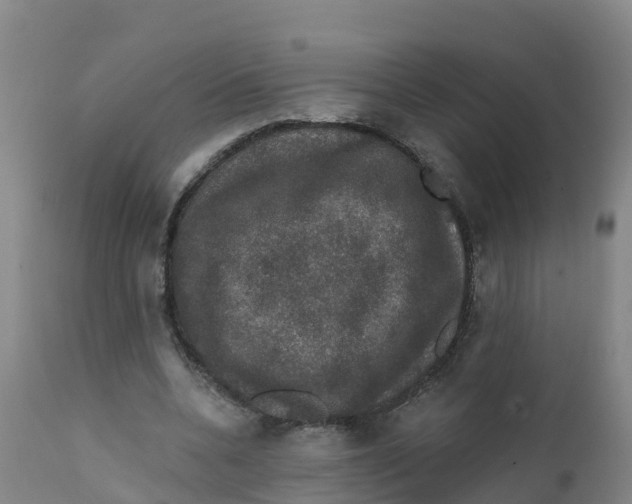 X0000111800536200908131438