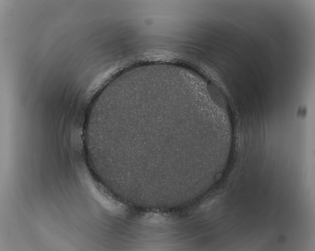 X0000111800538200908131438