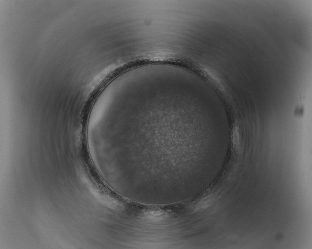 X0000111800540200908131438