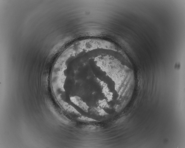 X0000111800542200908131438