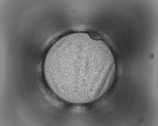 X0000111800543200908131438