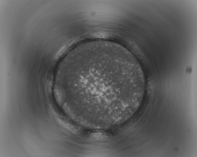 X0000111800544200908131438