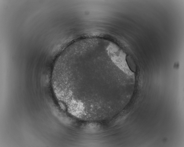 X0000111800546200908131438