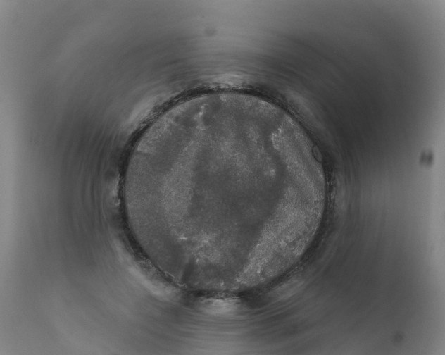 X0000111800548200908131438