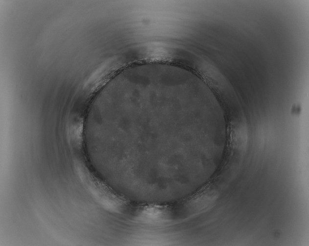 X0000111800550200908131438