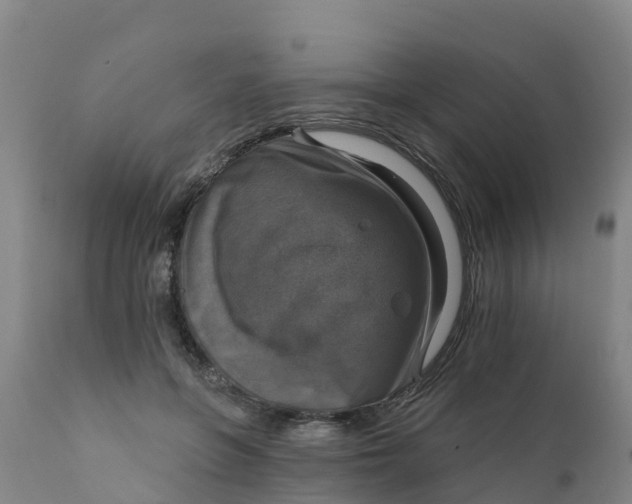 X0000111800551200908131438