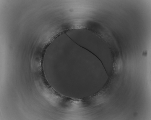 X0000111800552200908131438