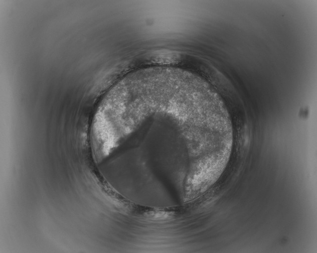 X0000111800553200908131438