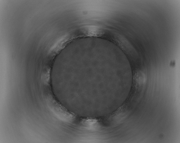 X0000111800554200908131438