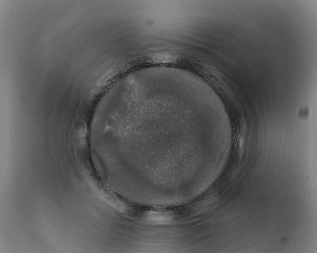 X0000111800556200908131438