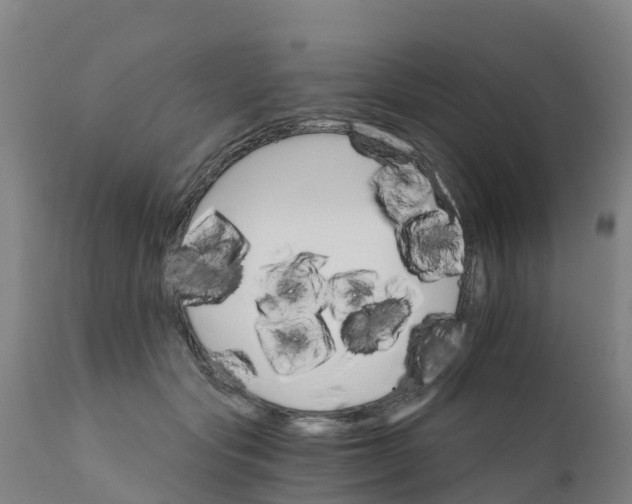 X0000111800557200908131438