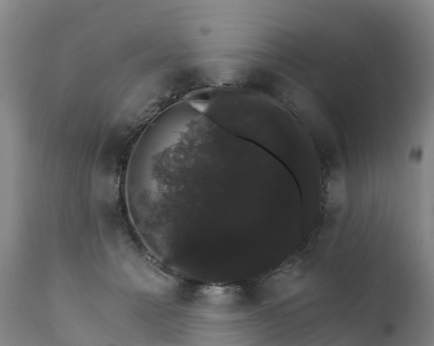 X0000111800558200908131438