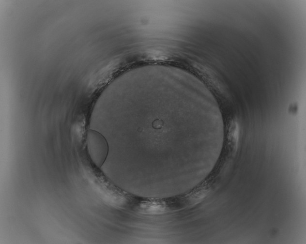 X0000111800559200908131438
