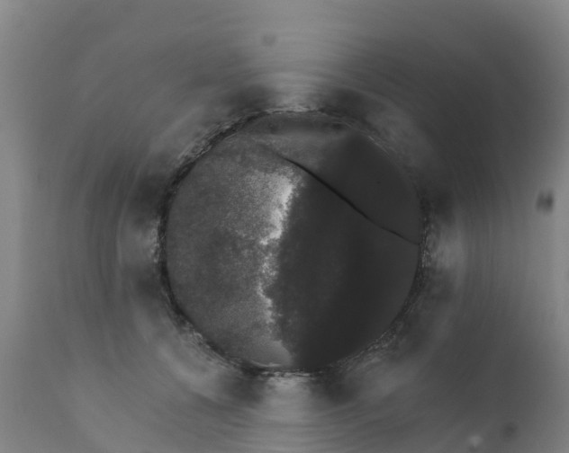 X0000111800560200908131438