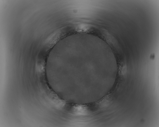 X0000111800561200908131438