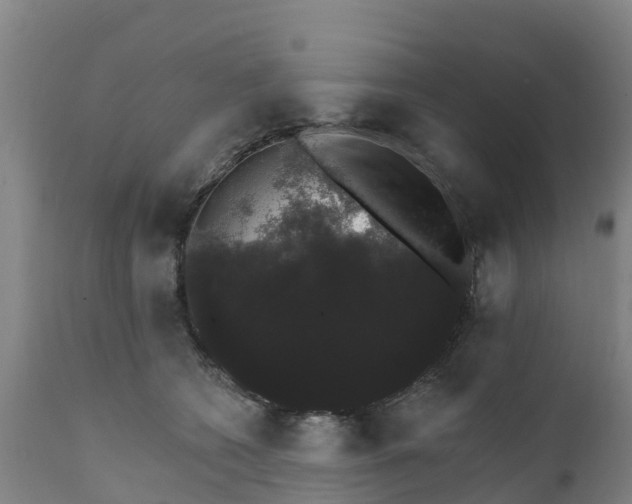 X0000111800562200908131438