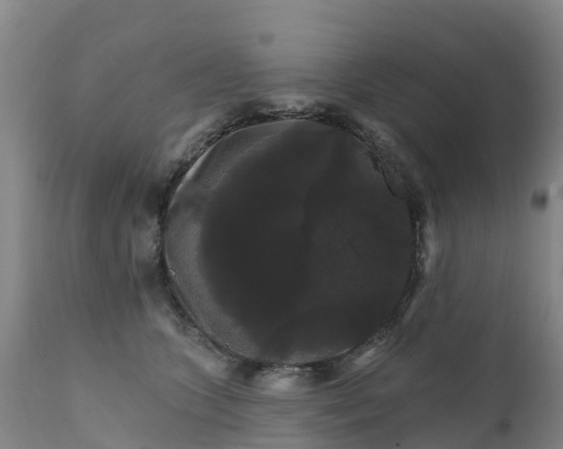 X0000111800563200908131438