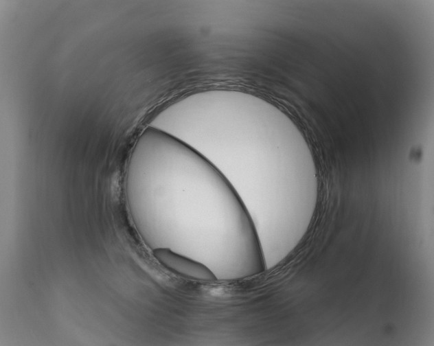 X0000111800564200908131438